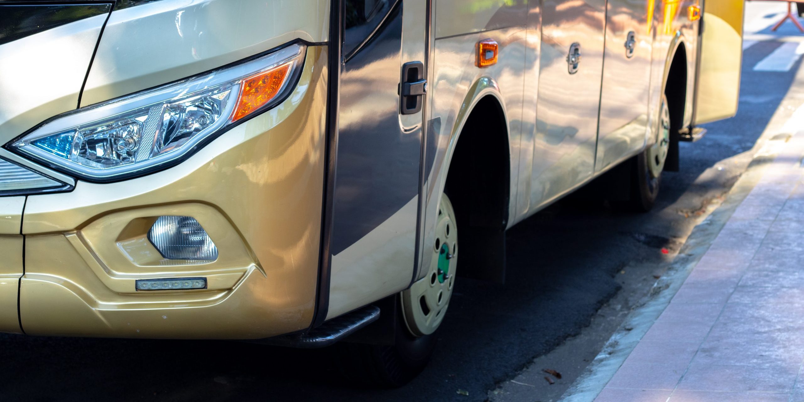 Bus (D)